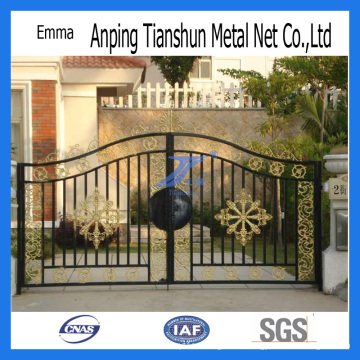 Hot Sale Residential Wrought Iron Gate (TS-E133)